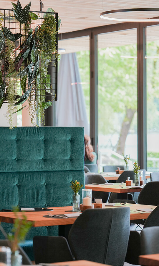 Grüne Bänke, Holztische, Hängepflanzen, Fensterblick.
