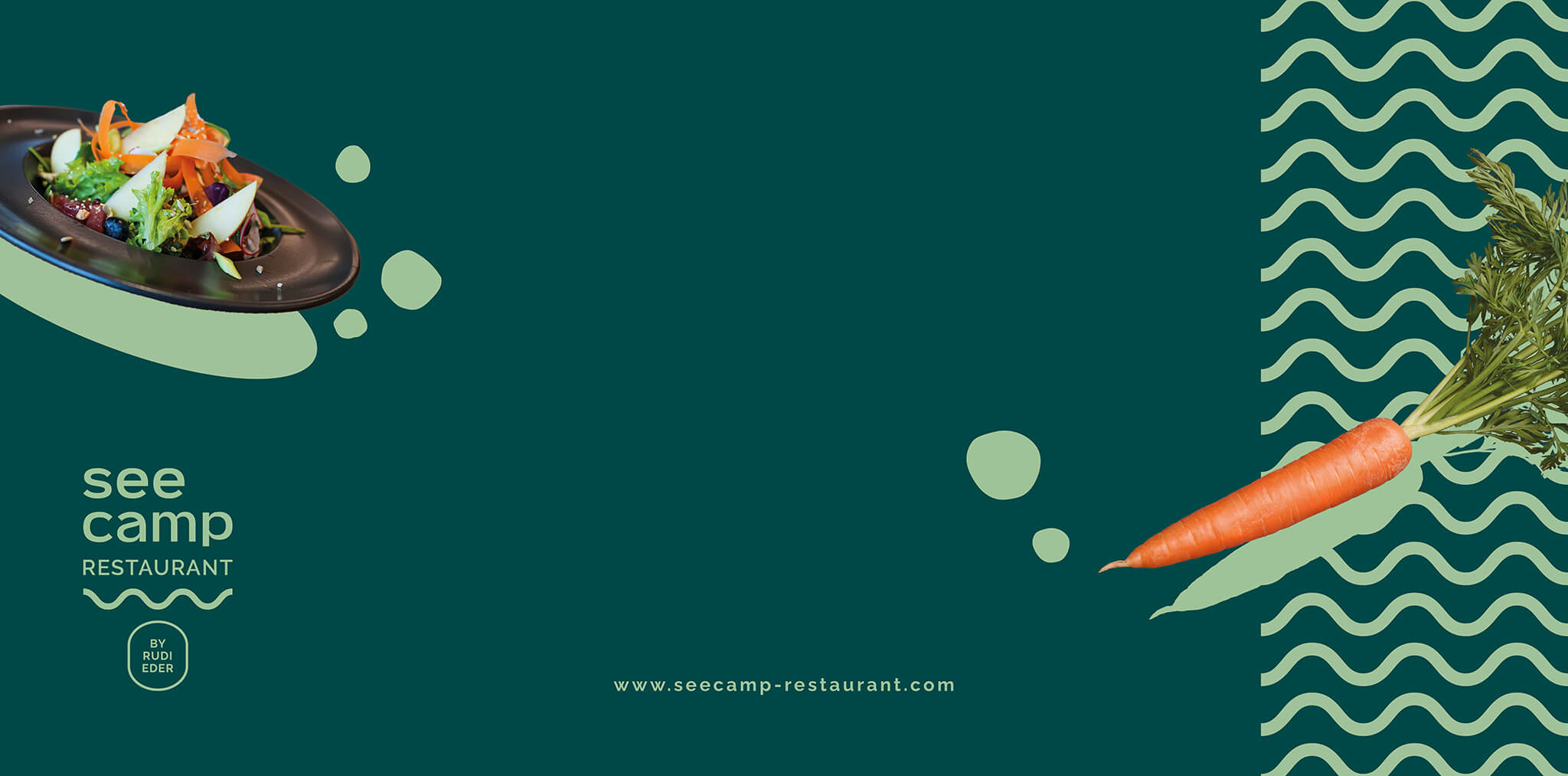 Bunter Salat und Karotte auf grünem Hintergrund.